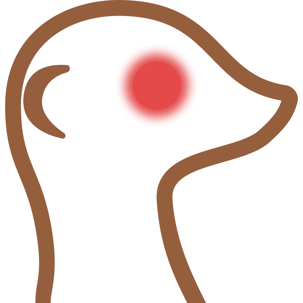 MeerKatta